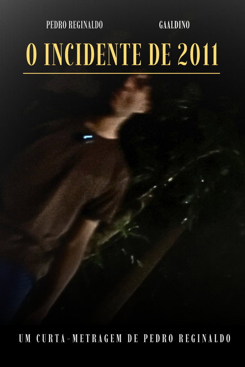 O INCIDENTE DE 2011 poster