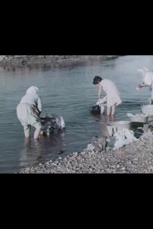 Un feudo d'acqua (1967) poster