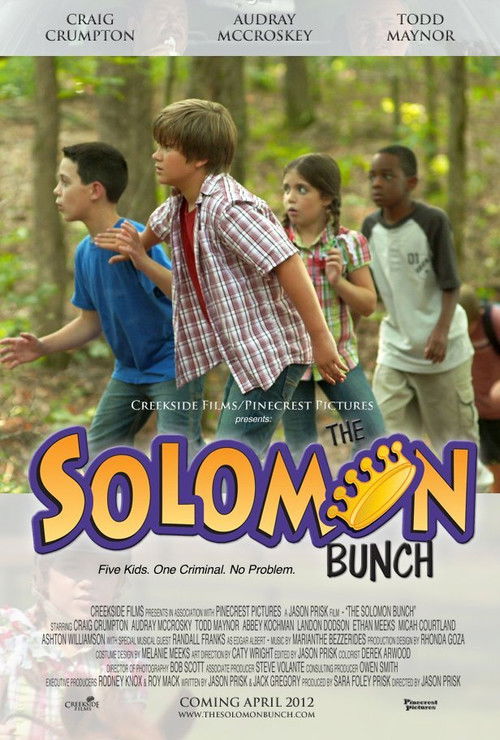 The Solomon Bunch (2013) poster