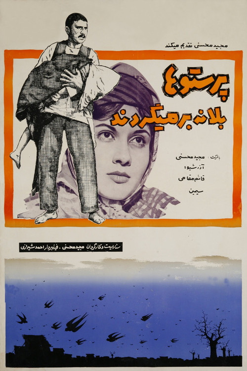پرستوها به لانه برمی‌گردند (1964) poster