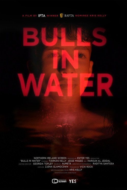 Bulls in Water (2025) poster
