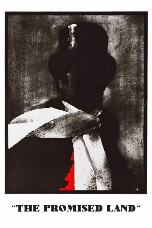 The Promised Land (1975) poster