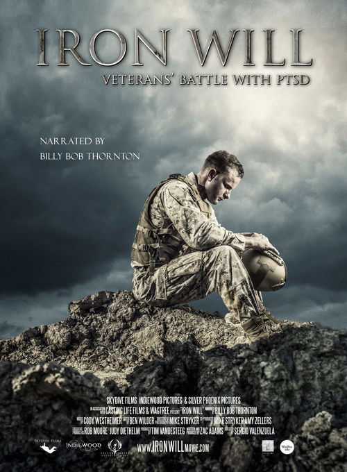 IRON WILL: Veterans Battle with PTSD (2016) poster