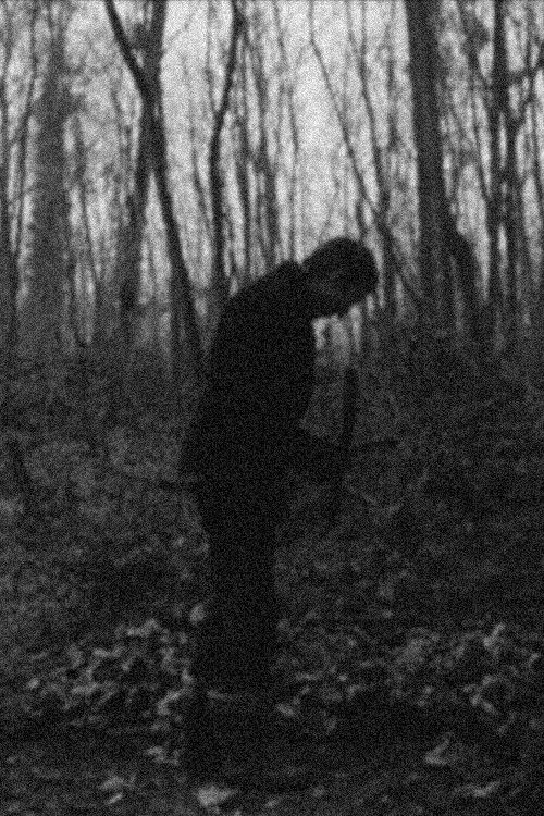 L'école des fous (1968) poster