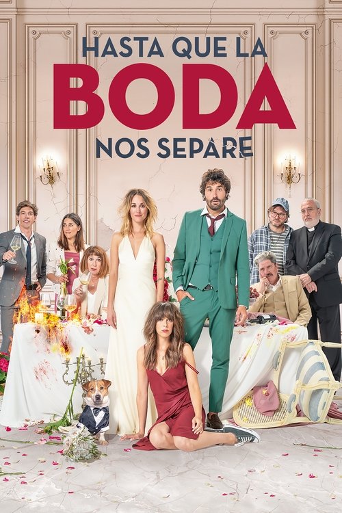 Hasta que la boda nos separe (2020) poster