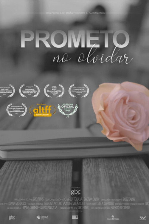 I Promise to Never Forget (2022) poster