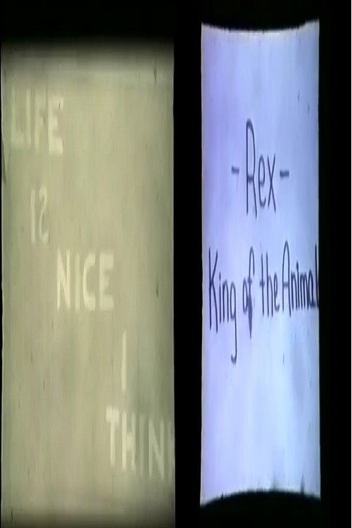 A Double Feature (1971) poster