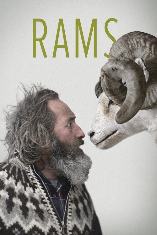 Rams (2015) poster