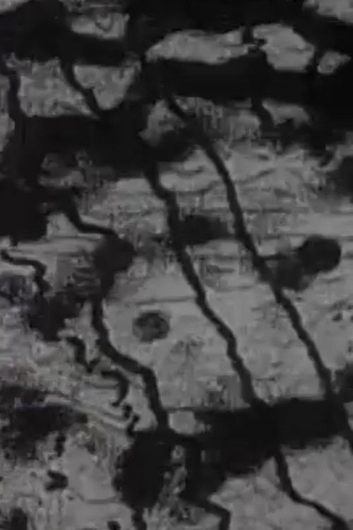 Altisonans (1966) poster