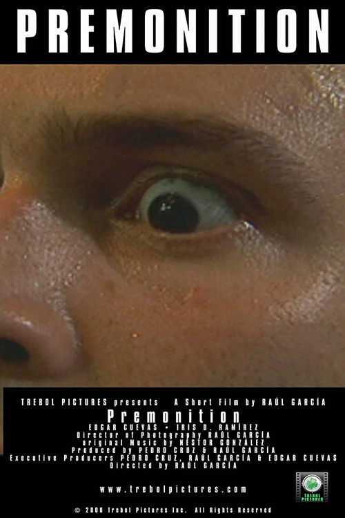 Premonition (2002) poster