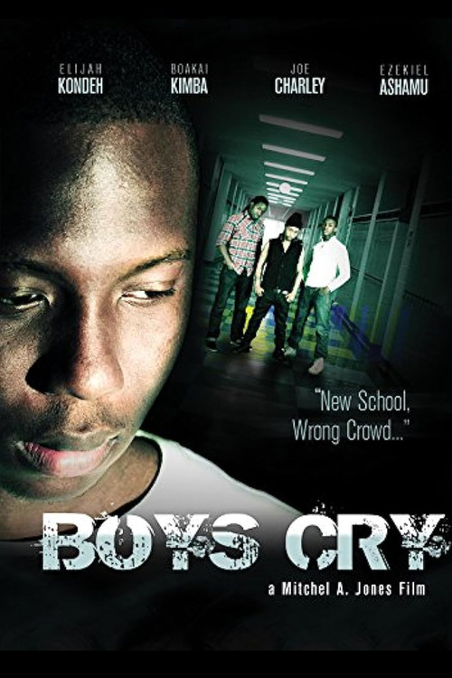 Boys Cry (2012) poster