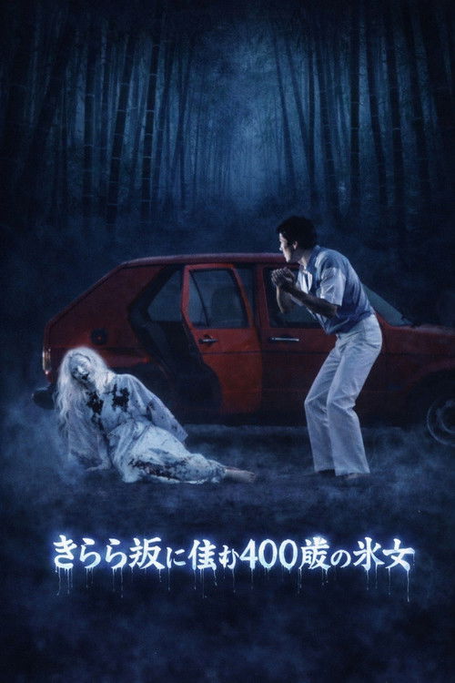 京都妖怪地図2 きらら坂に住む400歳の氷女 (1981) poster