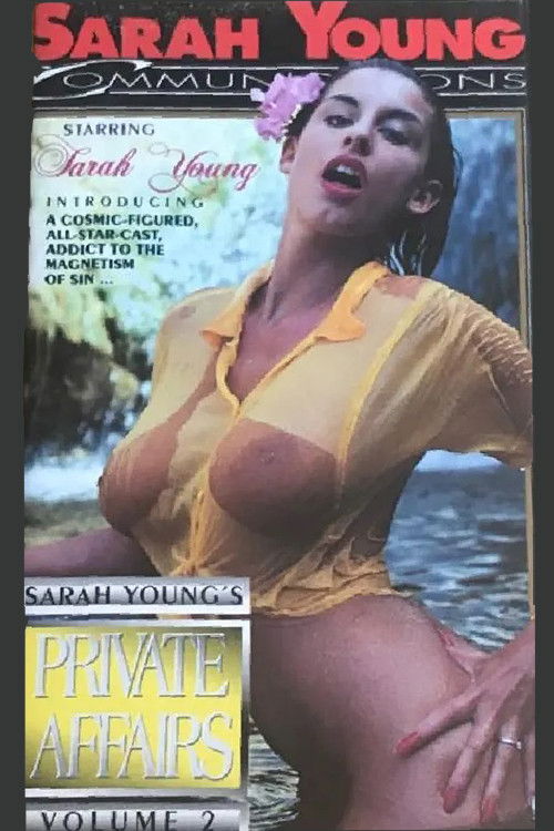 Private Affairs 2 (1991) poster