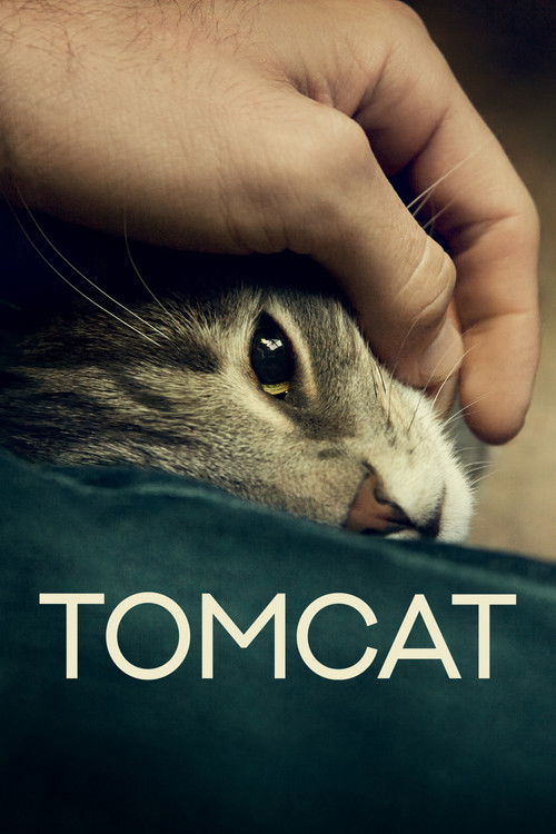 Tomcat (2016) poster