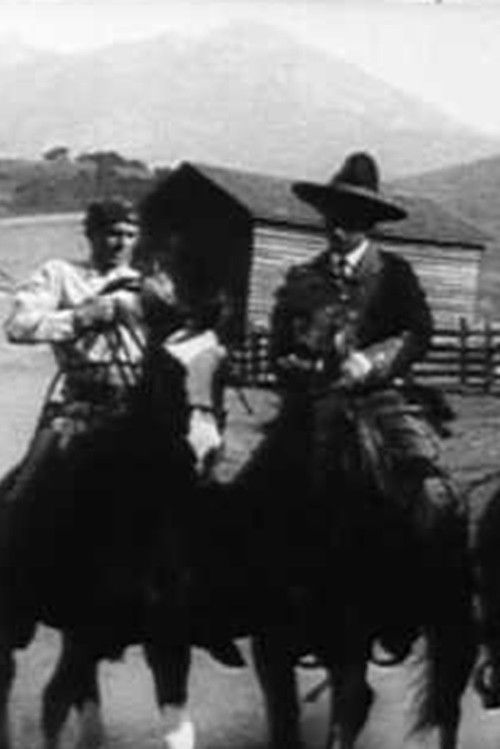 The Trail of Cards (1913) poster