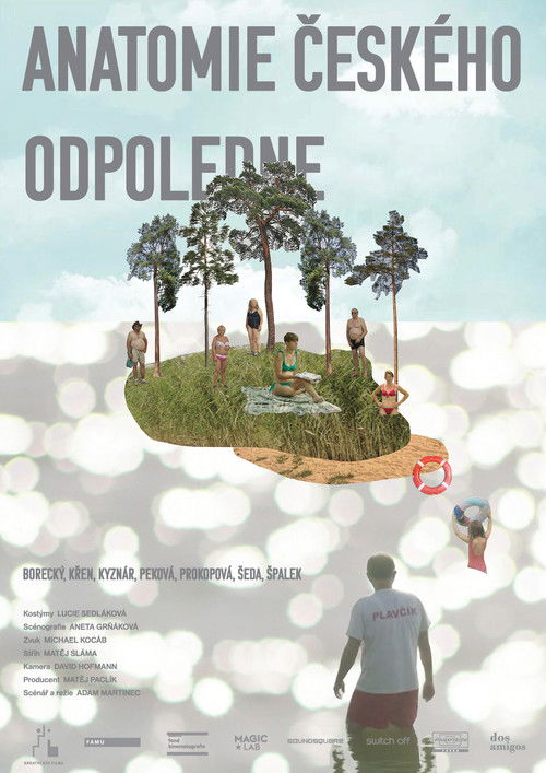 Anatomy of a Czech Afternoon (2021) poster