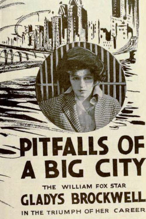 Pitfalls of a Big City (1919) poster