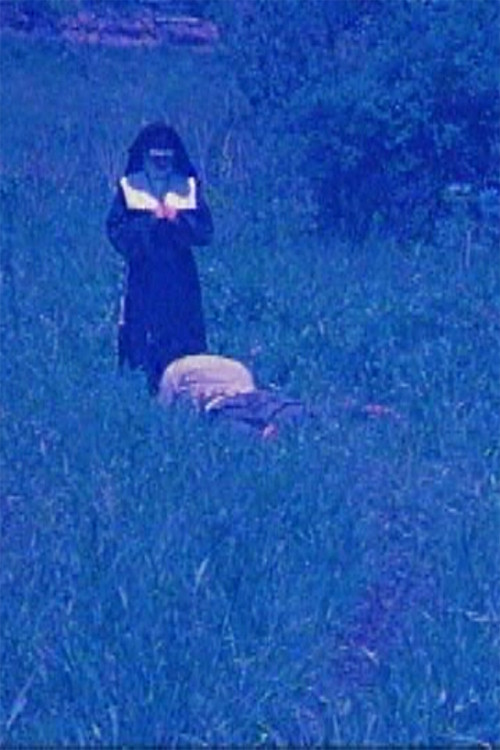 A Ride Through the Fields (1977) poster