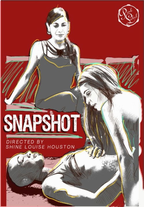 Snapshot (2016) poster