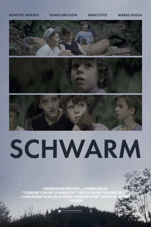 Swarm (2016) poster