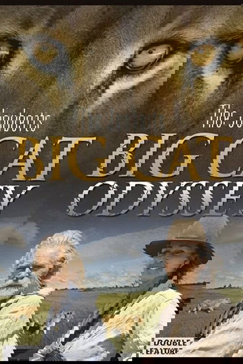 Big Cat Odyssey (2010) poster