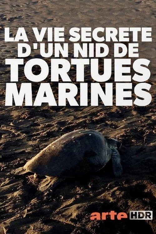 Turtle Beach (2019) poster