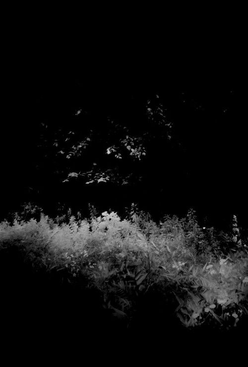 Burn Out Like a Dying Candle in the Cradle of my Arms poster