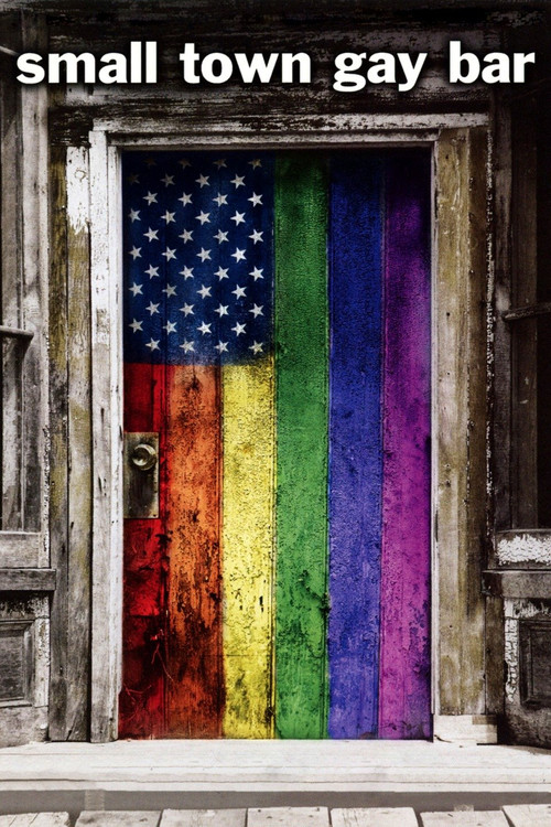Small Town Gay Bar (2007) poster