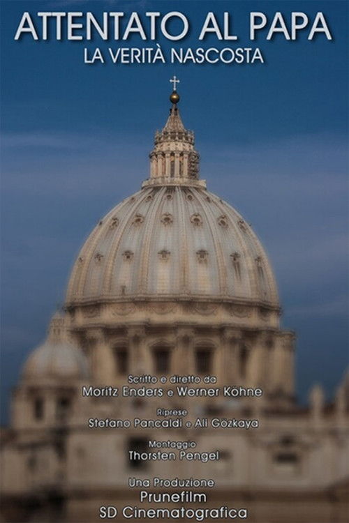 Attentato al Papa - La verità nascosta (2015) poster