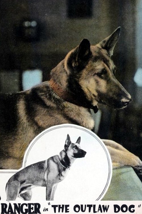 The Outlaw Dog (1927) poster