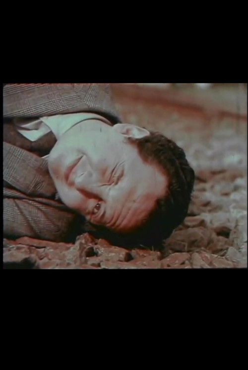 Vida, pasión y muerte de un realizador iracundo (1971) poster