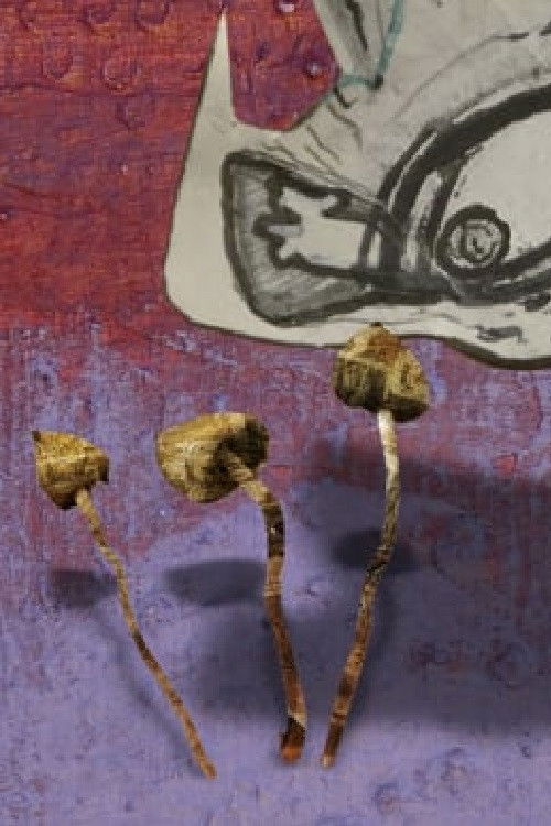 Space Snails (2024) poster