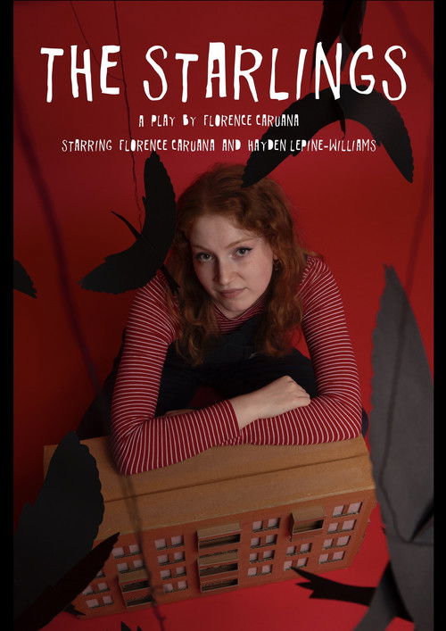 The Starlings (2024) poster