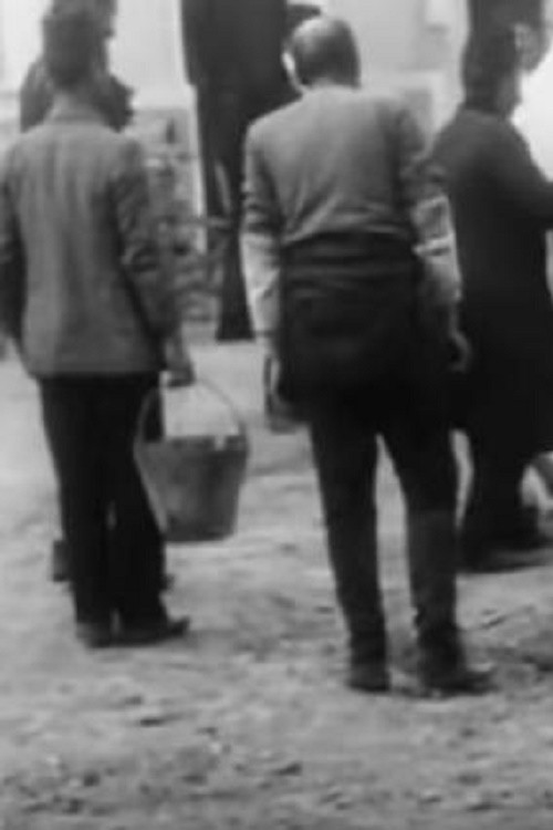 Veterinarna stanica (1905) poster