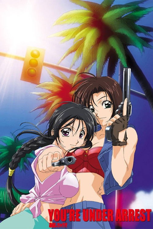 逮捕しちゃうぞ イン アメリカ (2002) poster