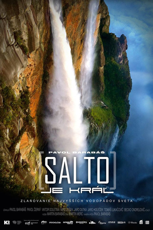 Salto je kráľ (2020) poster