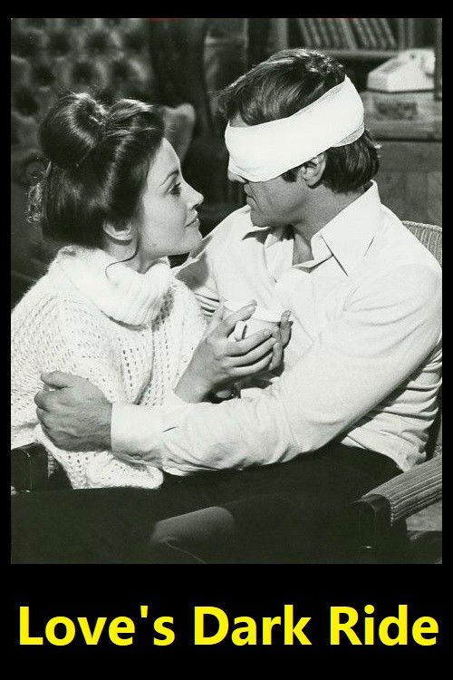 Love’s Dark Ride (1978) poster