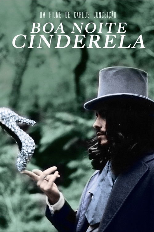 Goodnight Cinderella (2014) poster