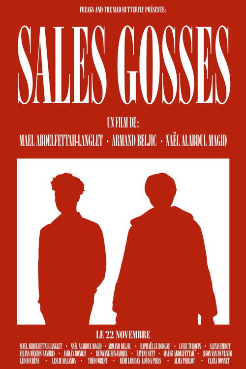 SALES GOSSES poster