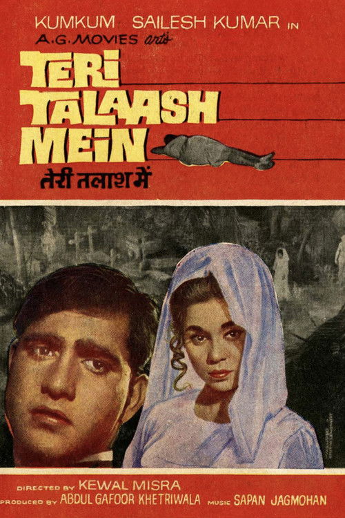 Teri Talaash Mein (1968) poster
