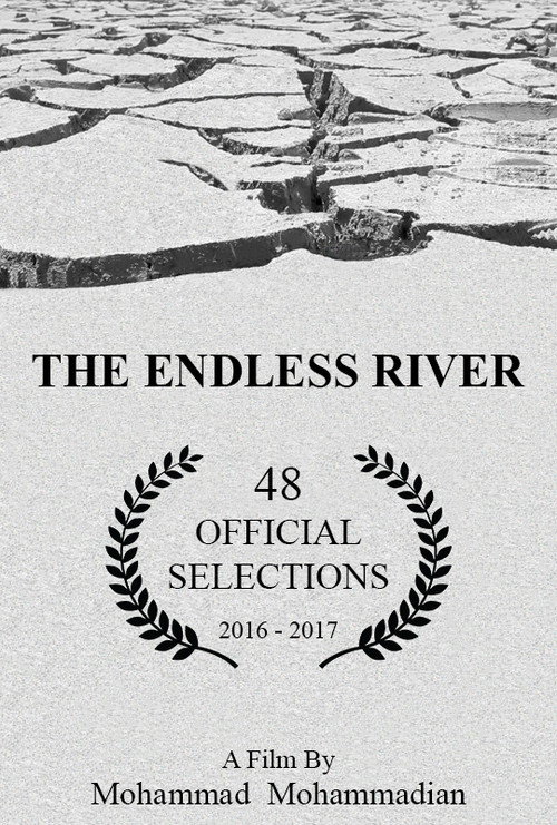 The Endless River (2016) poster