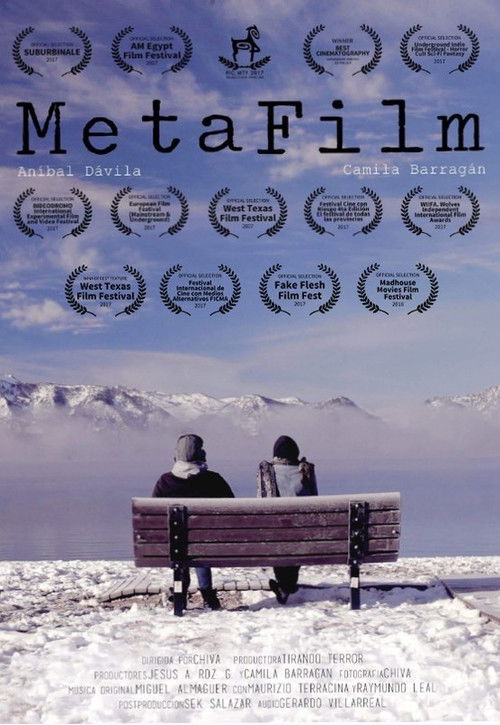 MetaFilm (2017) poster