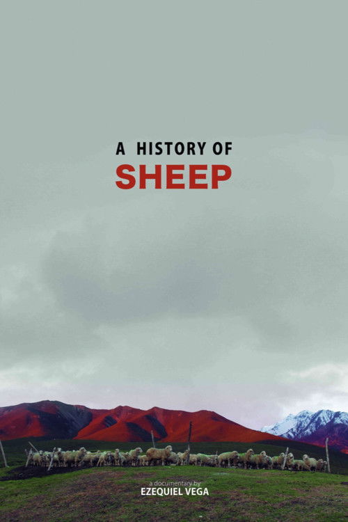 A History Of Sheep (2016) poster