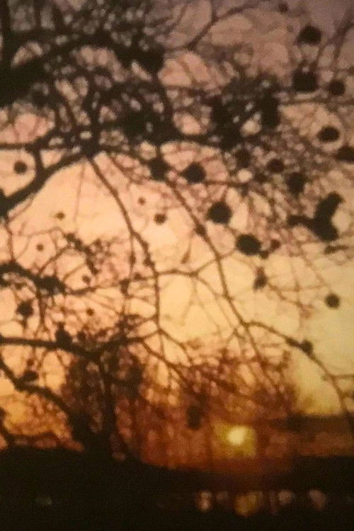 Sole Sole Sole (1973) poster