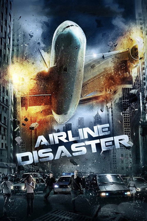 Uçak Faciası (2010) poster