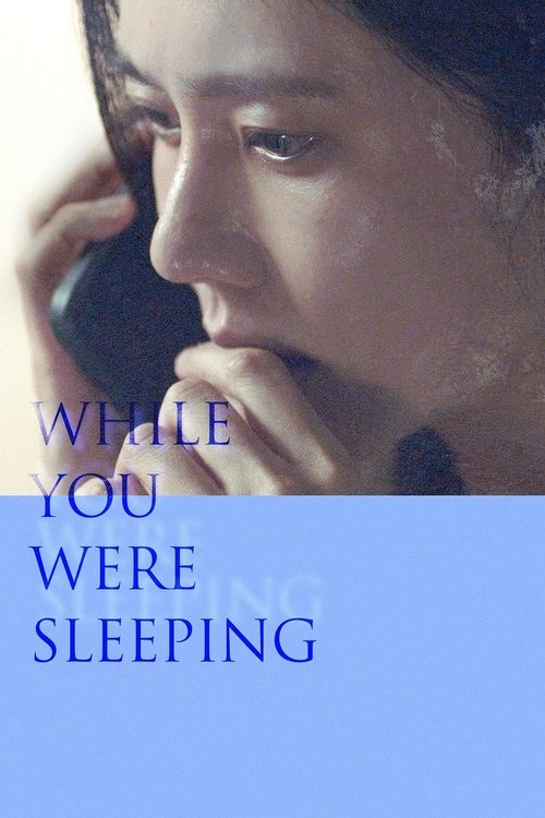 While You Were Sleeping (2024) poster