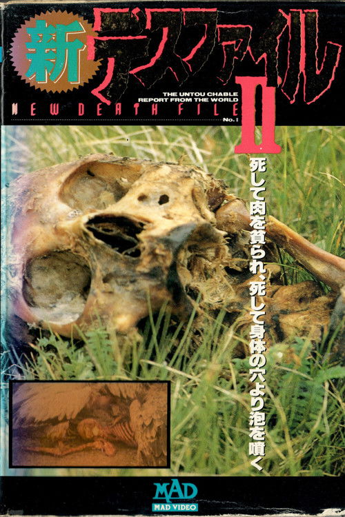 New Death File II (1992) poster
