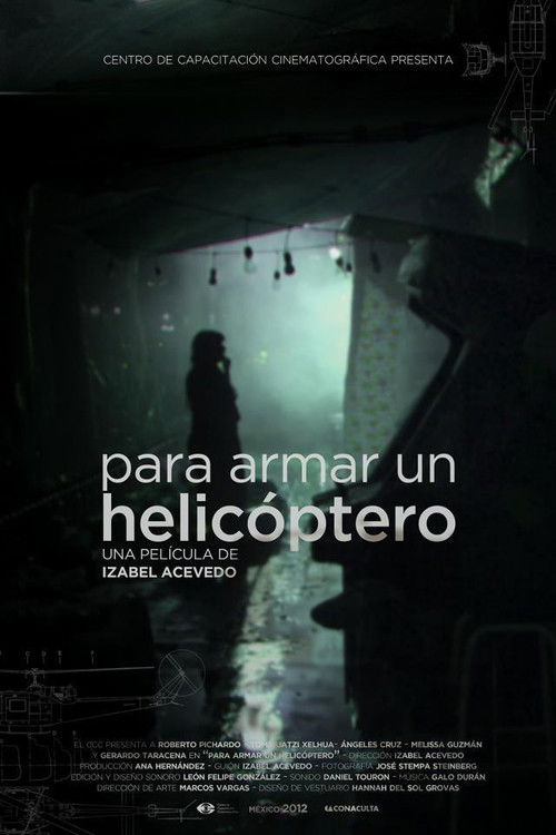 Para armar un helicóptero (2013) poster