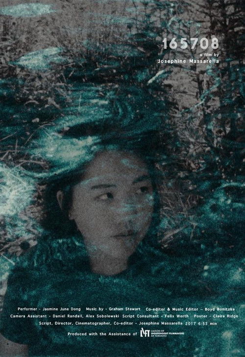 165708 (2017) poster
