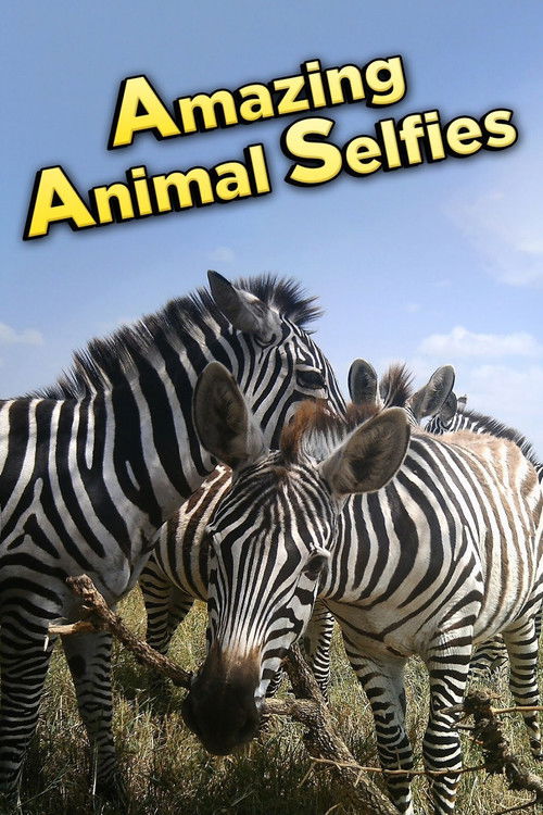 Amazing Animal Selfies (2016) poster
